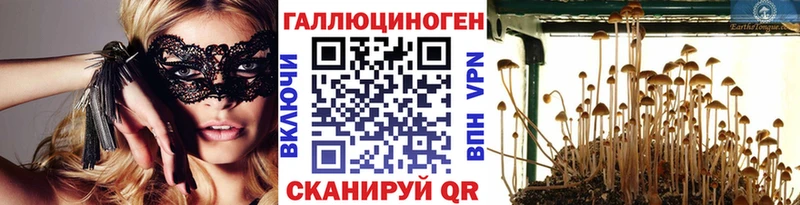 Галлюциногенные грибы прущие грибы  Славск 